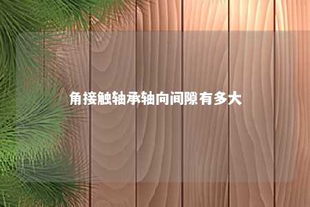 角接触轴承轴向间隙有多大 