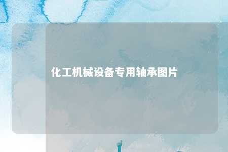 化工机械设备专用轴承图片 